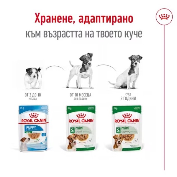 Royal Canin Mini Adult Ageing 12+ - Паучове за възрастни кучета от дребни породи